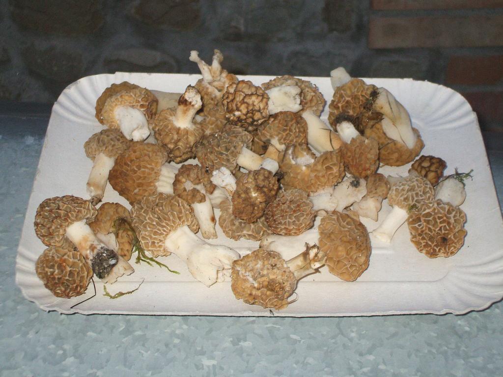 Farneto La Colombarola Agriturismo מראה חיצוני תמונה