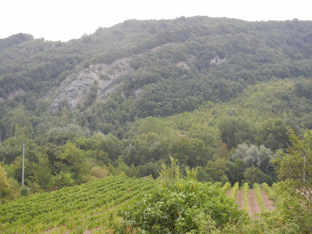 Farneto La Colombarola Agriturismo מראה חיצוני תמונה