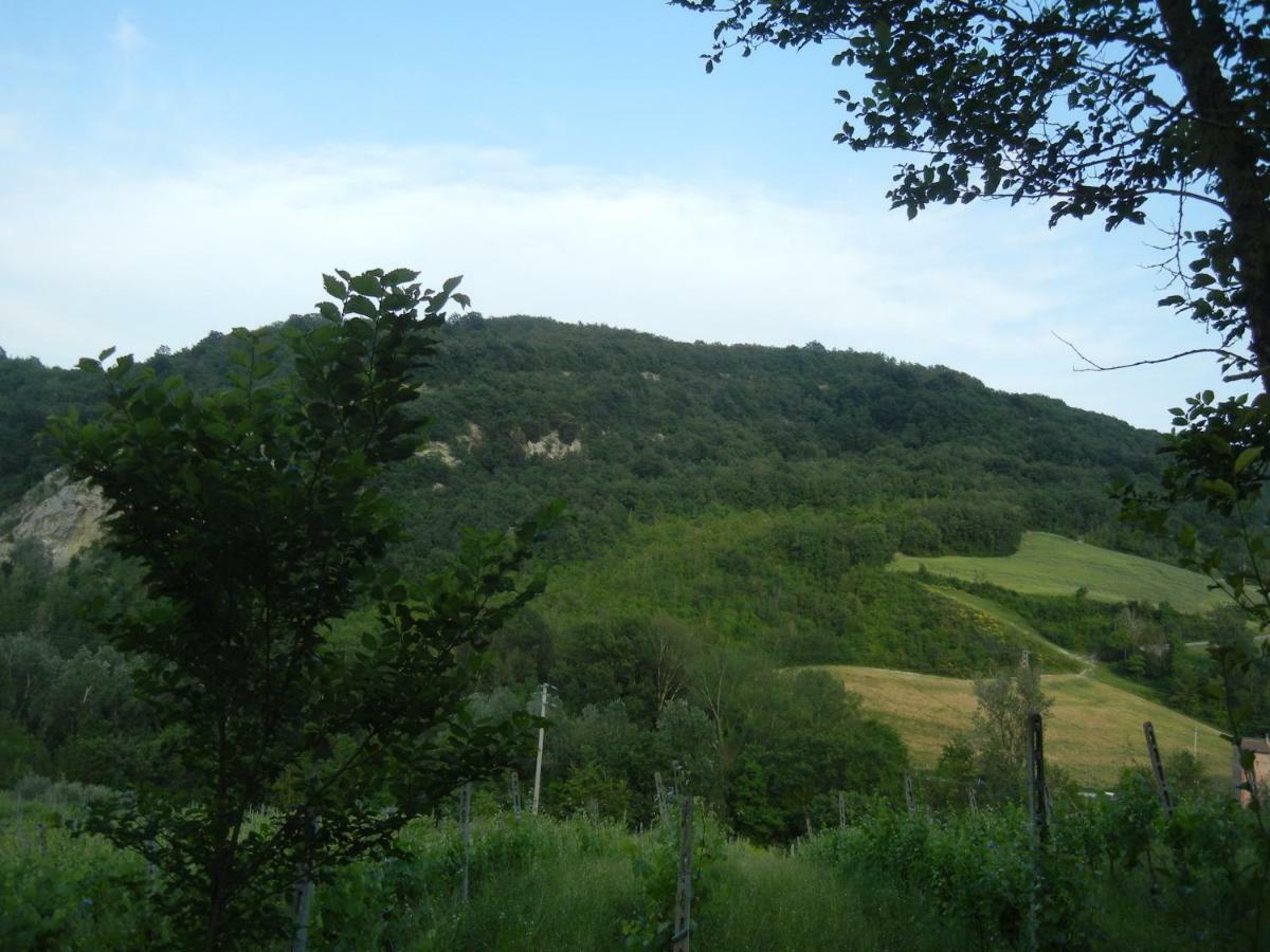 Farneto La Colombarola Agriturismo מראה חיצוני תמונה