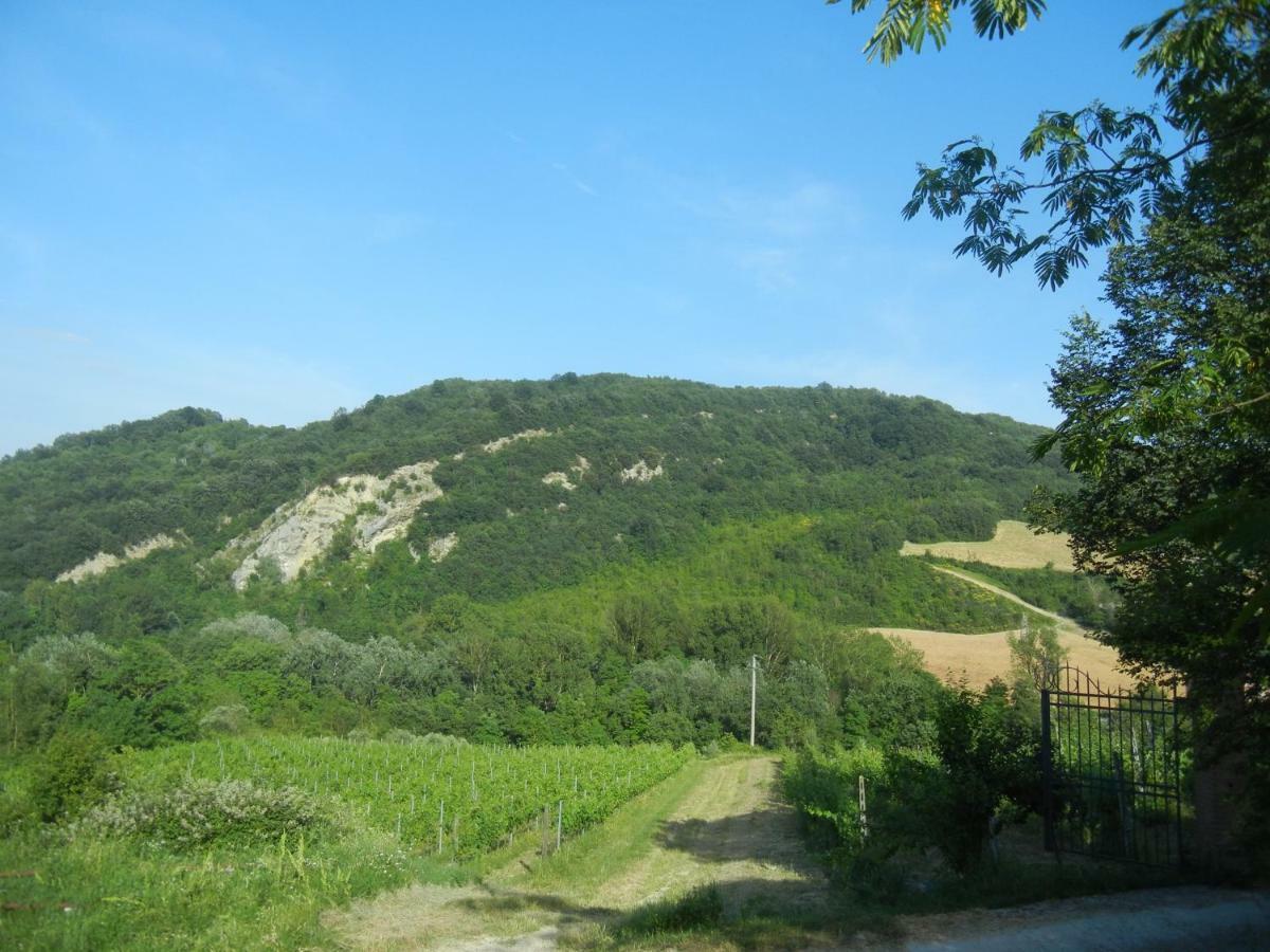Farneto La Colombarola Agriturismo מראה חיצוני תמונה